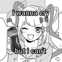 736x736