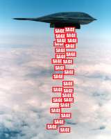 325