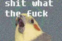 423
