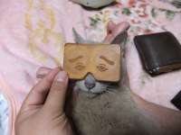 384