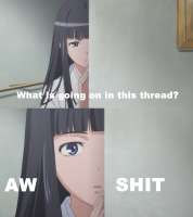 291