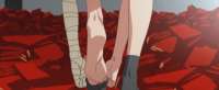 516x213