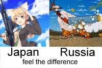 945x636