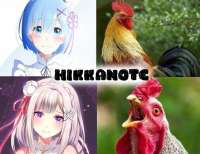 559x432