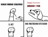 552x432