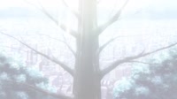 1280x720