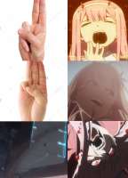 430x597