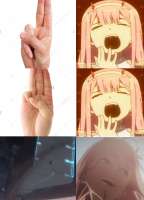 430x597