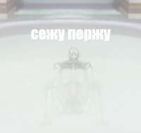290x273