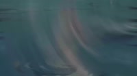 1280x720