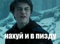 500x369