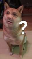 399x720