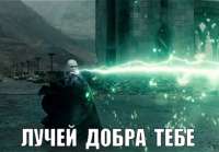 496x346