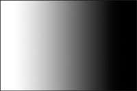 500x334