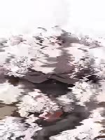 360x480