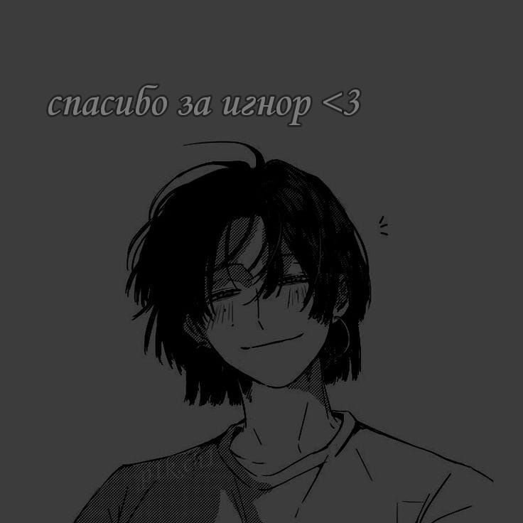 736x736
