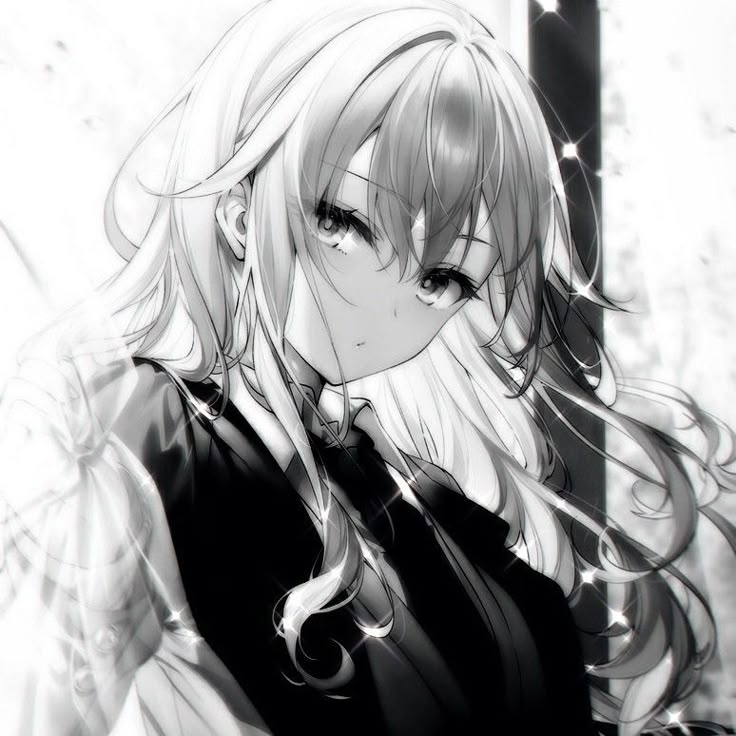 736x736