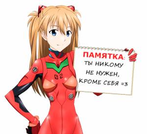 800x733