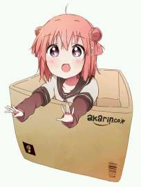 567x748