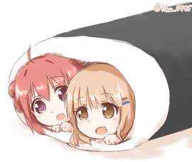 623x528