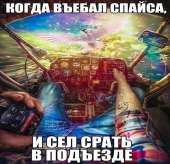 510x493