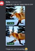 299x438
