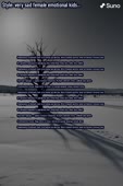 512x768