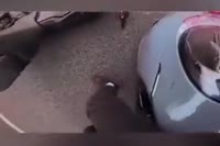 360x240