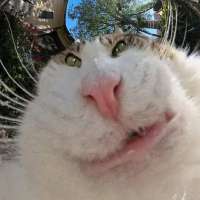 1080x1080