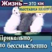 77