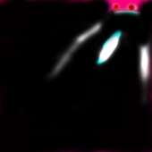 81