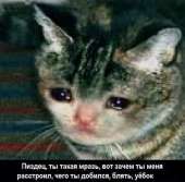 65