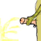 33