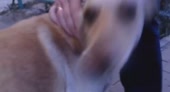 7892