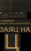 256