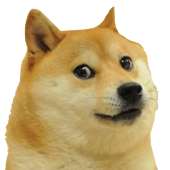 102