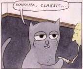 43