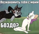 44