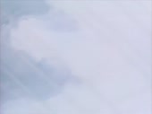 9217