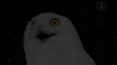 1526