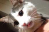 822