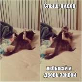 79