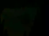 3100