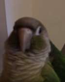 188
