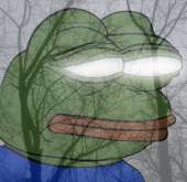 80