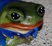 261