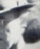 133