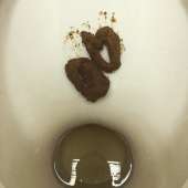 43