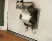 2044