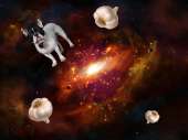 4004